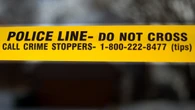 Woman in her 30s dead after she was struck by vehicle in Scarborough hit and run