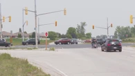 Endangered snakes delay Banwell Road, E.C. Row Expressway overpass projects