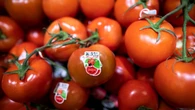 Higher vegetable prices pushed inflation upward in May