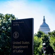 White House hopes monthly U.S. jobs report to continue despite claim by labour statistics nominee