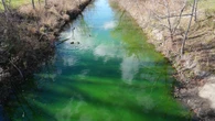 Why water in Windsor's Grand Marais drain looks neon green