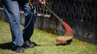 Some vacant lots remain overgrown as Winnipeg enforces grass-length bylaw