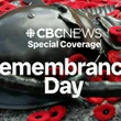 'Life and peace are fragile': Canada's veterans and war dead honoured at snowy, cold National Remembrance Day