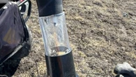 Monitoring program in Nunavut finds biting insects emerging earlier, and with more variety of species
