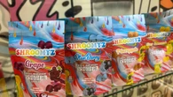 Sudbury Police shut down magic mushroom shop and arrest 2 employees