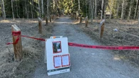 Search for American tourist's body in Banff National Park waterfall continues: RCMP