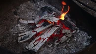 Fire bans implemented for multiple territorial parks across the southern N.W.T.