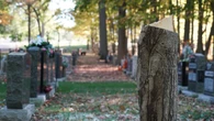 'Very upsetting': Vandals cut down trees in London cemetery