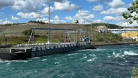 Routine maintenance at Whitehorse dam last fall ends with hundreds of dead fish