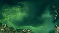 Toxic algae is invading Canada’s lakes. This early warning system could help