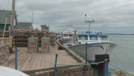 North Atlantic right whale detection forces portion of P.E.I.'s lobster fishery to close