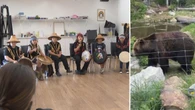 These Indigenous kids played a song to attract grizzly bears — and it worked