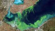 While blue-green algae blooms are 'pretty to look at,' here's why they could also be deadly