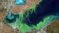 Researchers detect blue-green algae toxin in Lake Erie earlier than ever before