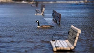 Water levels continue to rise slowly on some parts of the Ottawa River