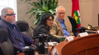 Hamilton police board member resigns, alleges 'profound failure' of oversight, mistreatment