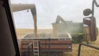 Sask. farmer says Wednesday storm may have many farmers filing insurance claims