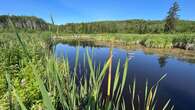 Nature Conservancy of Canada expands protected lands in northwestern Ontario