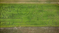 A huge new corn maze in Mount Herbert P.E.I. has twists, turns, and a big reveal