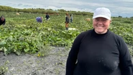 'My heart is so full,' says Manitoba farmer after volunteers help save pumpkins from early frost