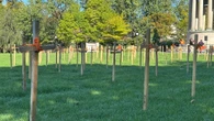 Crosses pulled from truth and reconciliation display in Kitchener's Victoria Park