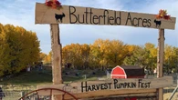 Calgary's Butterfield Acres Petting Farm closed due to cases of avian influenza: AHS