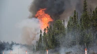 Wildfire investigation answers aren't coming fast enough, opposition MLAs say