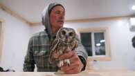 Now's the time to catch and band tiny owls at the only UNESCO biosphere region in Sask.