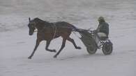 Wet November was 'challenging' for P.E.I. harness racing — and 'tough on the horses'