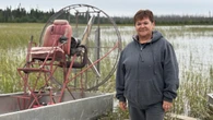 Sask. wild rice harvesters desperate for solution to stop 'devastating' insect