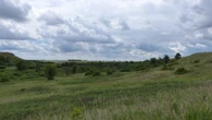 Sask. Crown land auctions privatize public resource for short-term gain, critics say