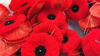 How to commemorate Remembrance Day in Hamilton and surrounding areas