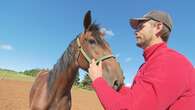 A father's legacy: Making racehorse ownership in P.E.I. more affordable