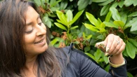 Slow and steady progress in decade-long project to save B.C.'s only native turtle