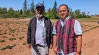 Potato growers from the Philippines eager to learn from P.E.I. industry