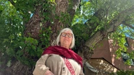 Community rallies to save 150-year-old Parkdale tree from possible development