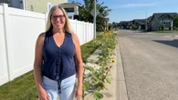 City of Saskatoon orders removal of 'unique' neighbourhood sidewalk sunflowers