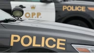 Pedestrian dead after being struck by vehicle in Leamington, OPP says
