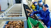 Temporary foreign worker in Cape Breton concerned about program's future