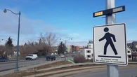 City asks for urgent $1M as Calgary pedestrian deaths increased 225% last year