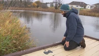A new invasive species on P.E.I. could spell trouble for Island’s waterways