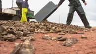 '100% dead': P.E.I. oysters wiped out by disease and it could get worse