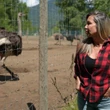 B.C. ostrich farm set to fight cull order in Federal Court of Appeal today