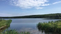 Province commits $500K as 'first step' to saving Inga Lake