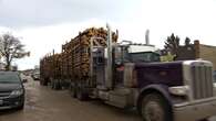 B.C. logging giant Canfor transfers its 4th largest forest tenure to 2 First Nations