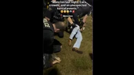 Arrests made in 'dangerous driving' incident after Moncton car show