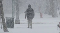 Blast of winter triggers blowing snow advisory for part of southern Manitoba: Environment Canada