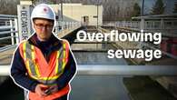 Partially treated wastewater is dumped into Quebec's waterways hundreds of times a year