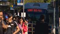 TransLink increasing bus service this fall on 47 routes