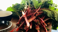 Drink it, dip it or bake it — rhubarb season is here: Jasmine Mangalaseril